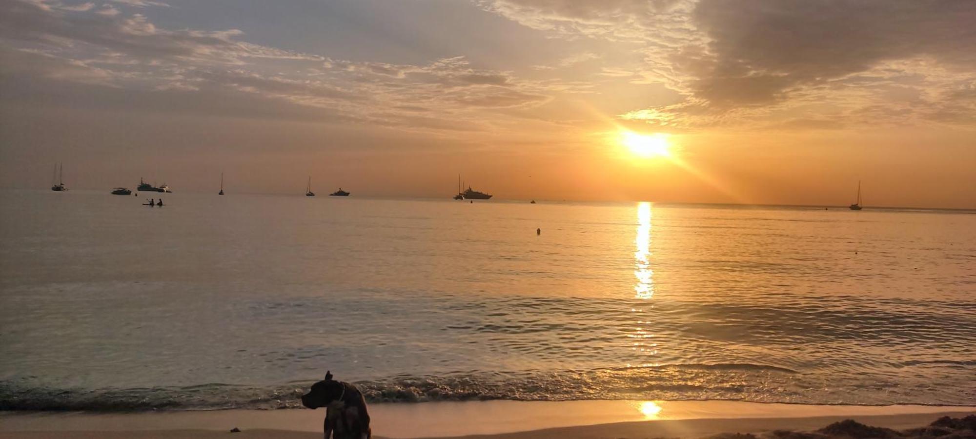 Appartamento La Terrazza Di Palermo Esterno foto